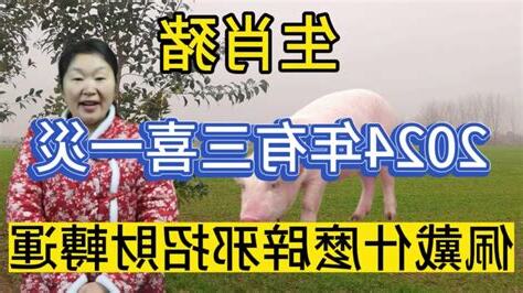 2024 屬豬